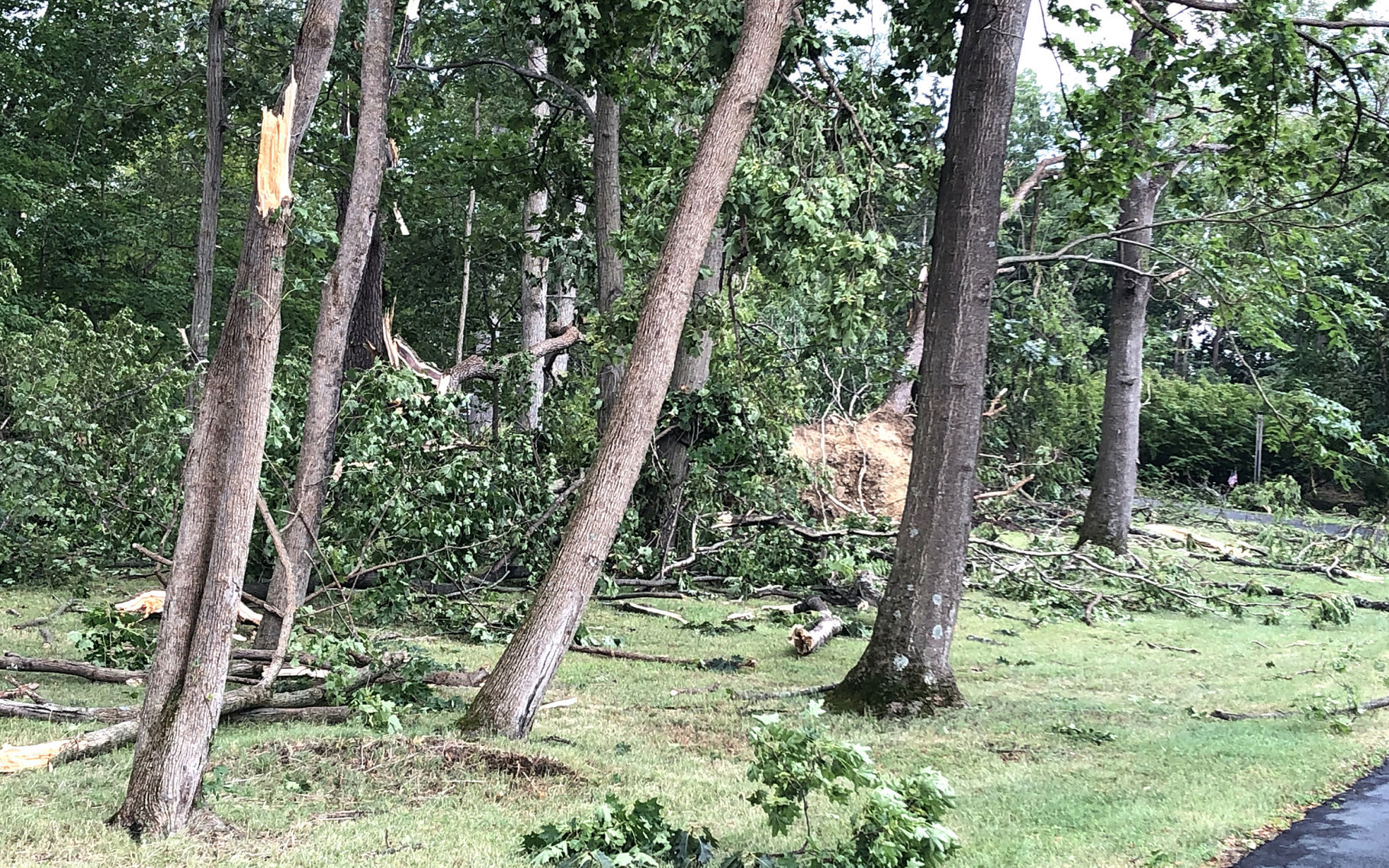 Zion Road storm